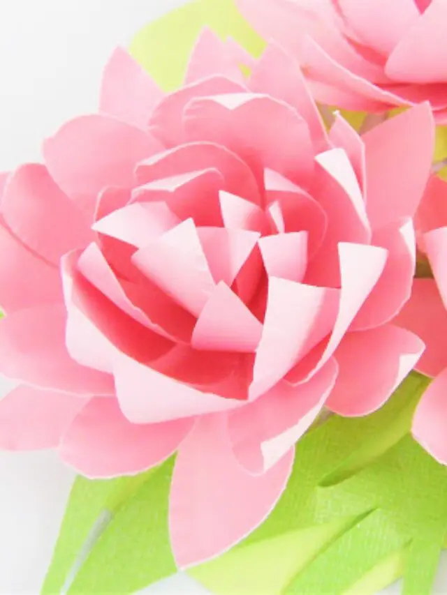 A closeup photo of a pink paper lotus