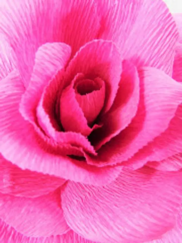 The Secret to Perfect Crepe Paper Flowers Story