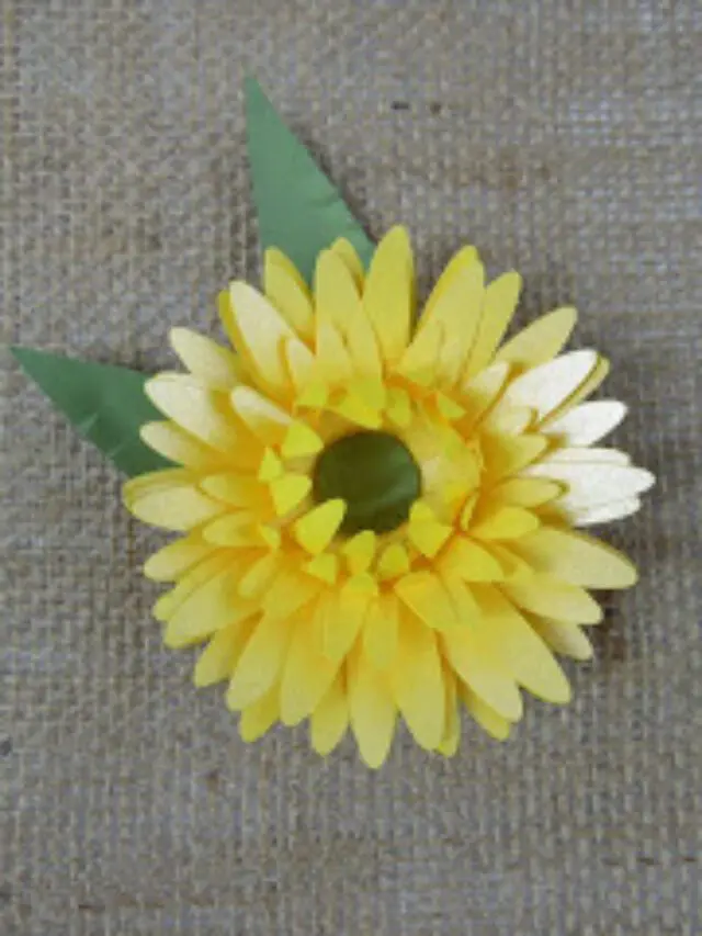 cropped-SAM_1805.jpg