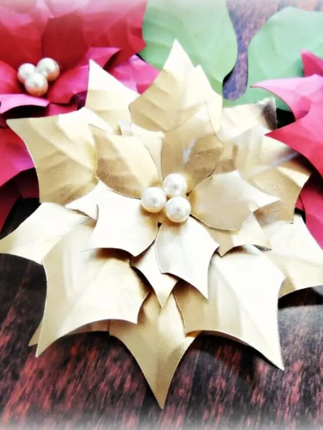 cropped-s-poinsettia-8.jpg