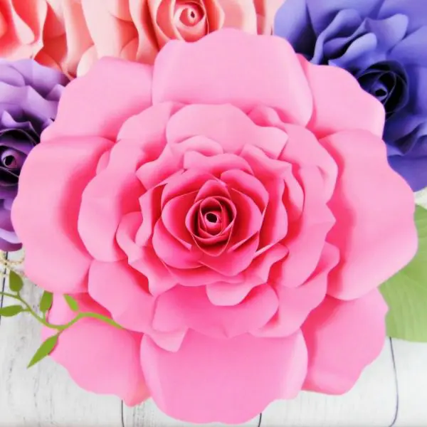 Giant Eden Rose Flower Template. 