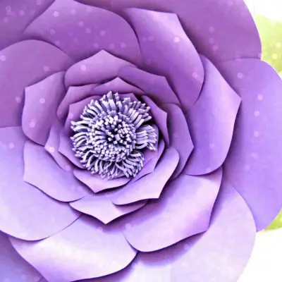 Priscilla giant paper flower template by Abbi Kirsten