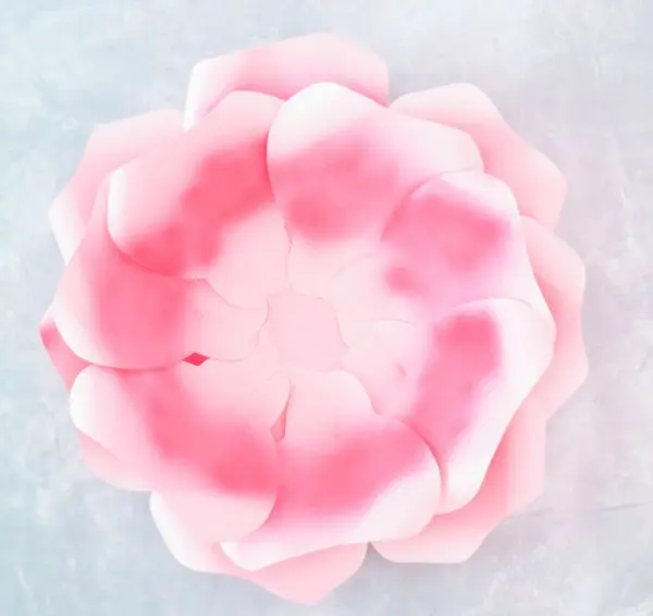 An additional seven giant pink ombre petals are attached to the last layer of Alora garden rose petals. 