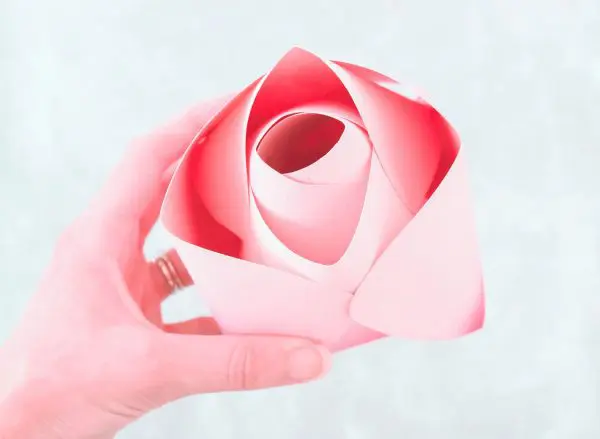 A giant pink Alora paper rose bud is held in Abbi’s hand.