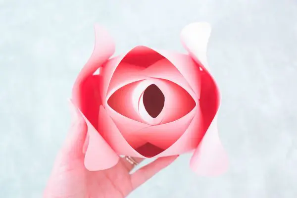 More outer petals are added to the rosebud center. The Alora paper rose expand outward as the flower is built. 