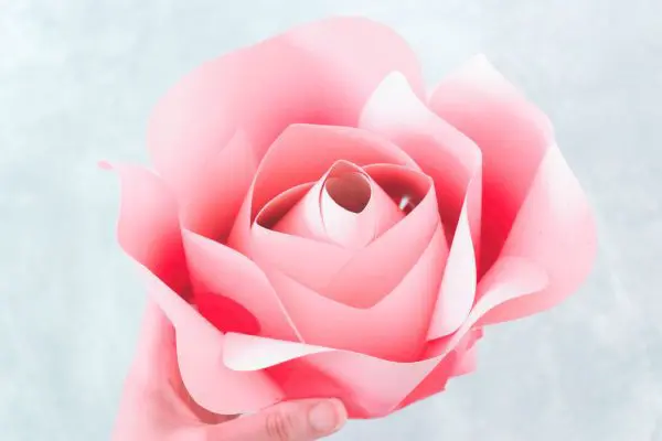 Abbi holds the pink Alora garden paper rose with all its petals. The rose is made to be blooming and open.