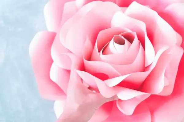A closeup of a finished beautiful pink Alora garden paper rose, with petals open.