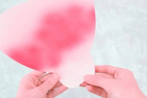 Glue is added to a giant pink ombre Alora garden rose petal.
