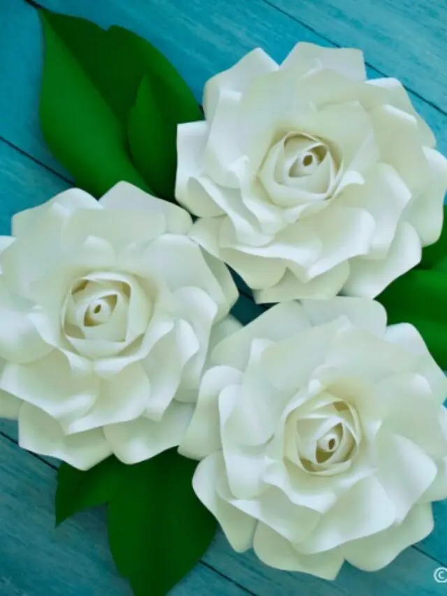 Giant Paper Alora Roses {Step-by-Step Guide} Story