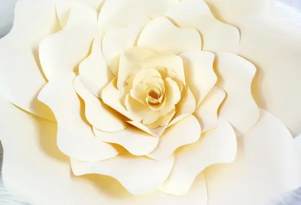The hypnotic, swirling center of the giant paper Bella Rose white flower. 