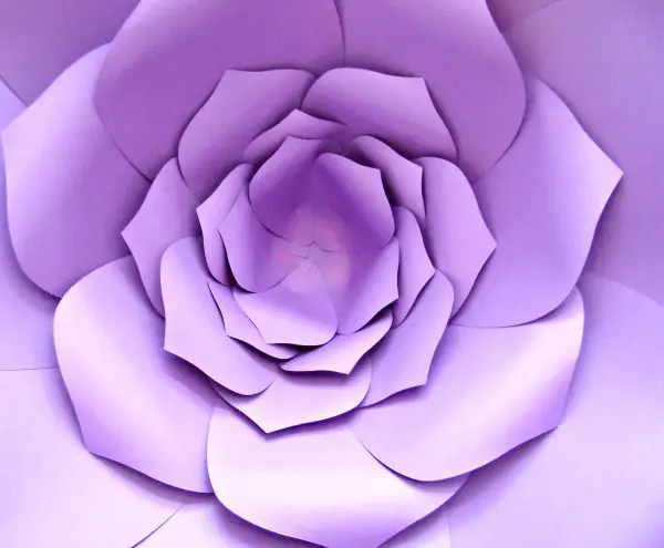 A view into the giant paper flower. The whole picture is filled with the layers of the flower, with purple petals getting smaller as we add them to the center. Petals are cut with a Cricut machine using Abbi Kirsten's SVG files and templates.