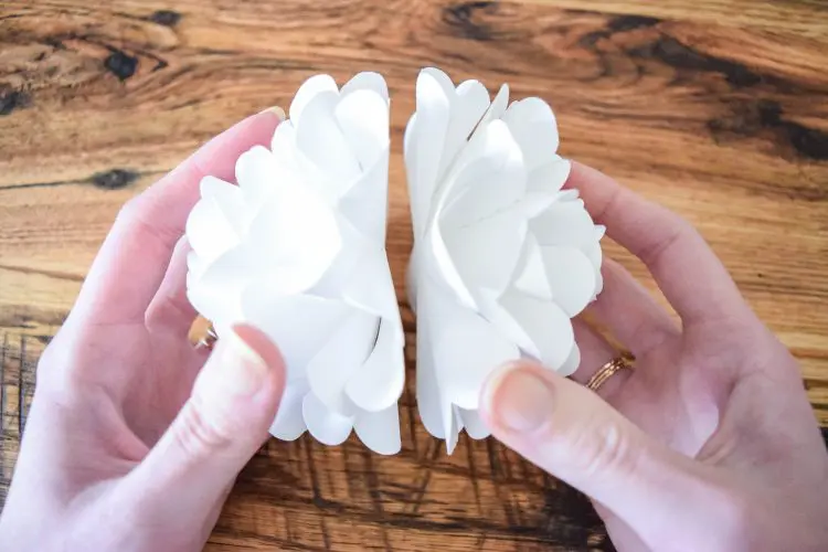 Abbi holds the two white paper pomander flowers back to back to create the sides of a paper flower ball.
