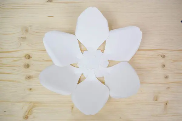 Six giant white paper petals attached to the base of a magnolia.