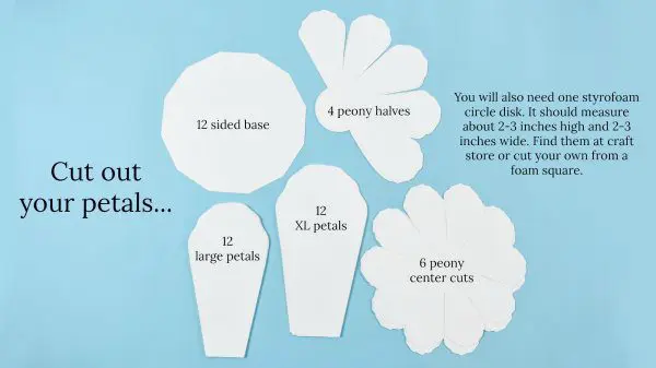 A blue background with all the white flower parts laid out. There are instructions and counts for each piece.