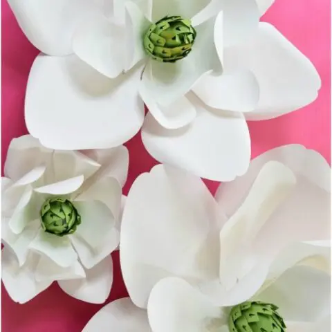 Three white paper magnolias against a pink background
