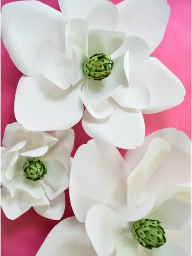 Three white paper magnolias against a pink background