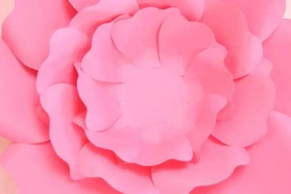 As part of a picture tutorial on making paper flowers, this overhead view of a Penelope rose shows the addition of a third layer of petals, sized medium. They overlap and alternate with the two pink layers underneath.