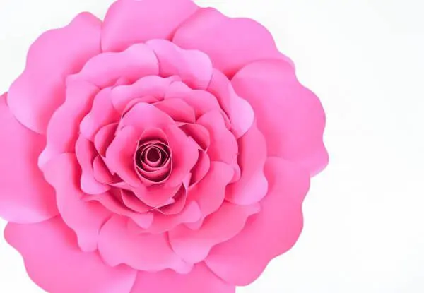 An overhead view of a finished Penelope rose papercraft. Making paper flowers can be easy when you follow tutorials and video instructions.