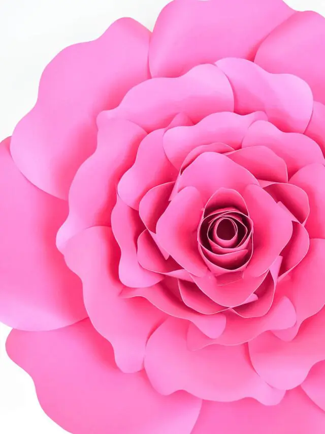 Penelope Paper Rose DIY Tutorial Story