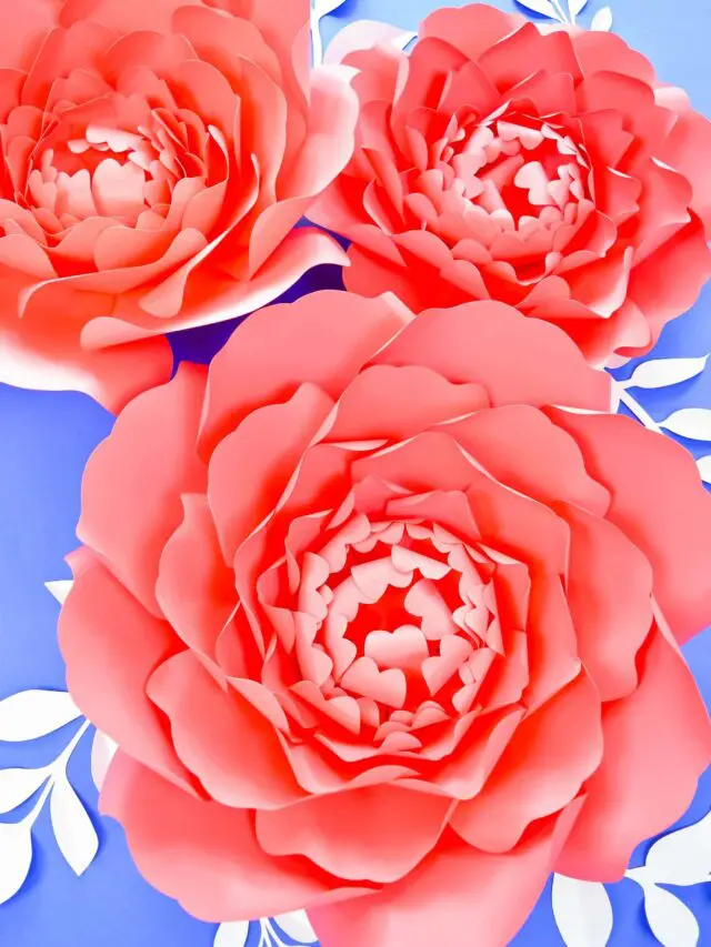 cropped-paper-peonies.jpg