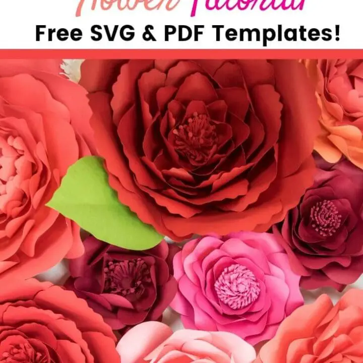 Poppy Paper Flower Tutorial