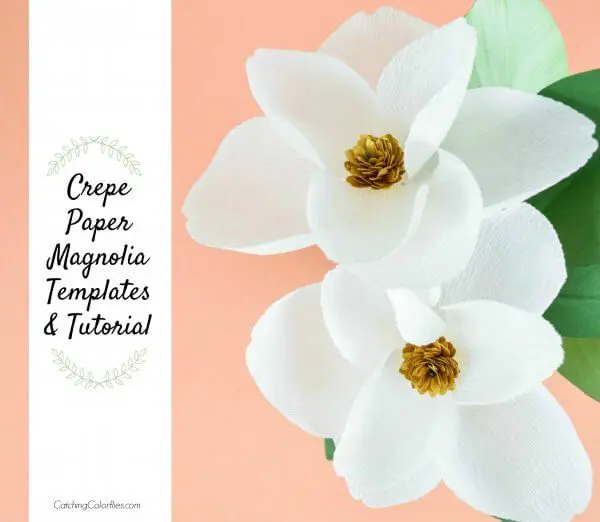 Two white Crepe Paper Magnolia Flowers against a peach-colored background.