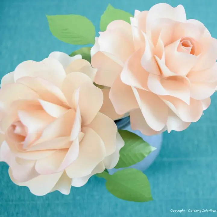 Two cream colored small Annabelle paper roses with green leaves.