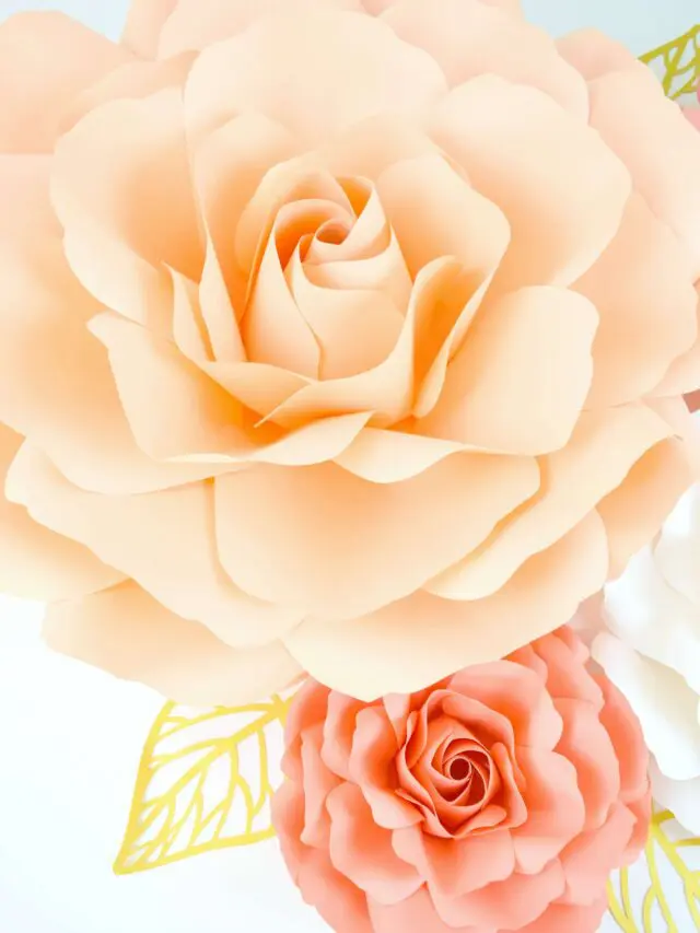 cropped-paper-rose-templates.jpg