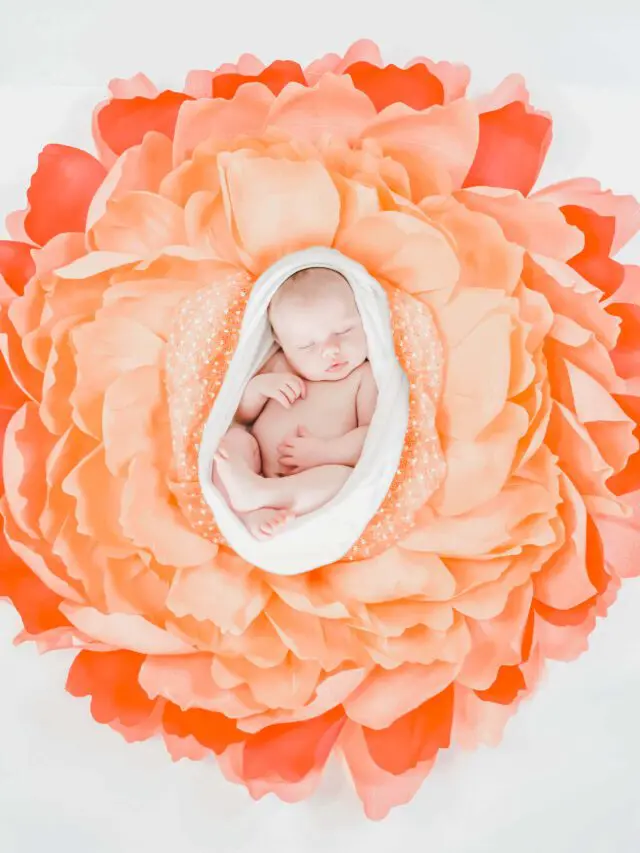 cropped-newborn-flower-nest.jpg