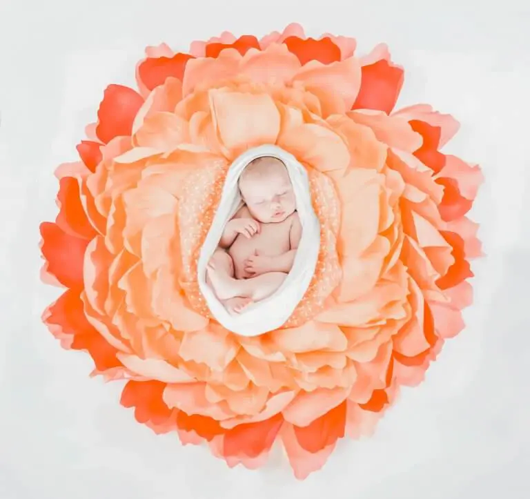 Giant Crepe Paper Flower Newborn Nest
