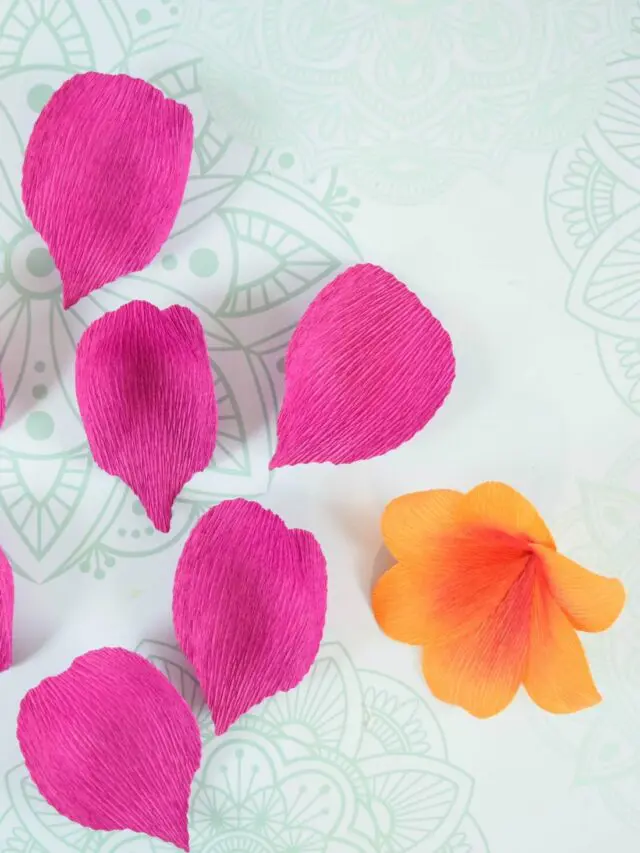 Cut Crepe Paper With The Cricut Maker Story