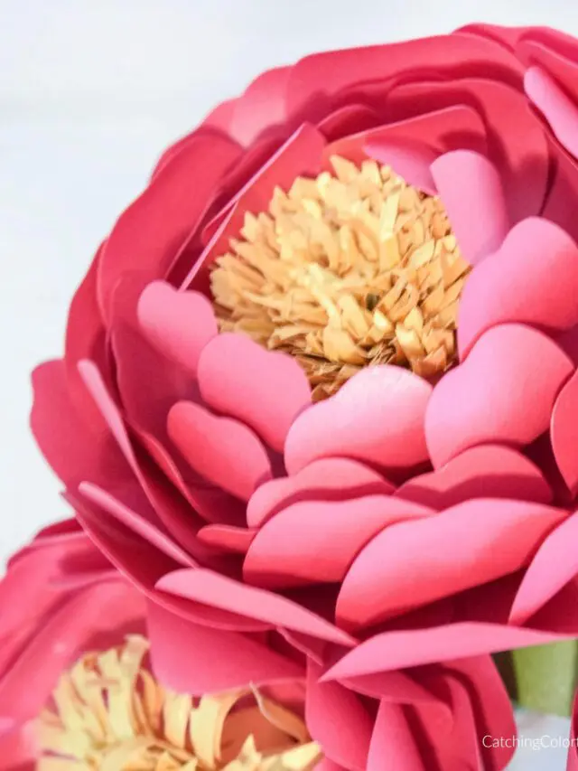 Paper Peony Flower Template Story