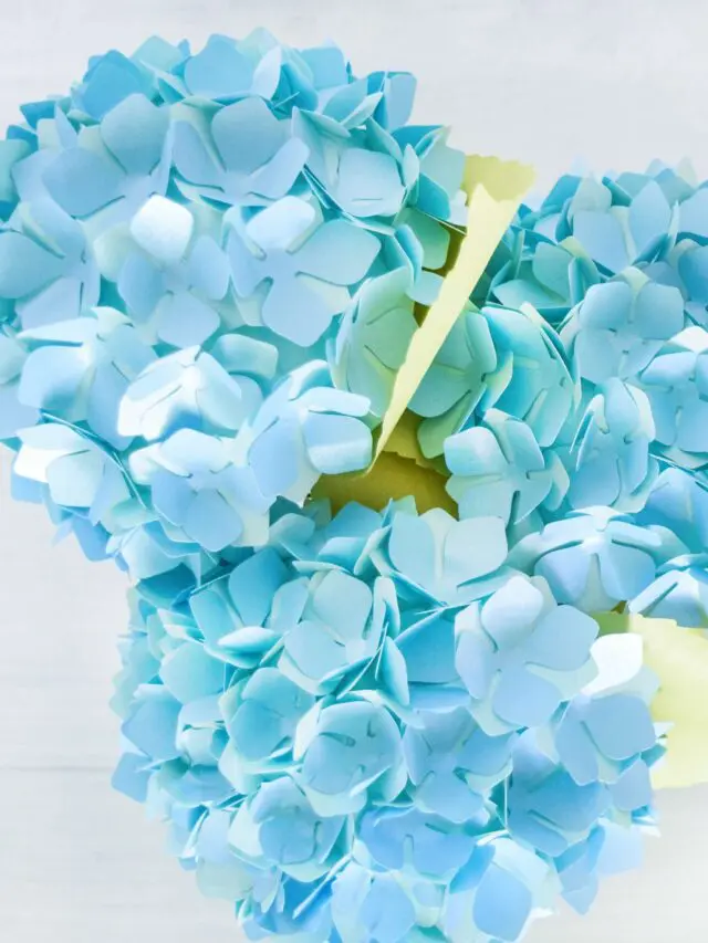 cropped-paper-hydrangeas-2-2.jpg