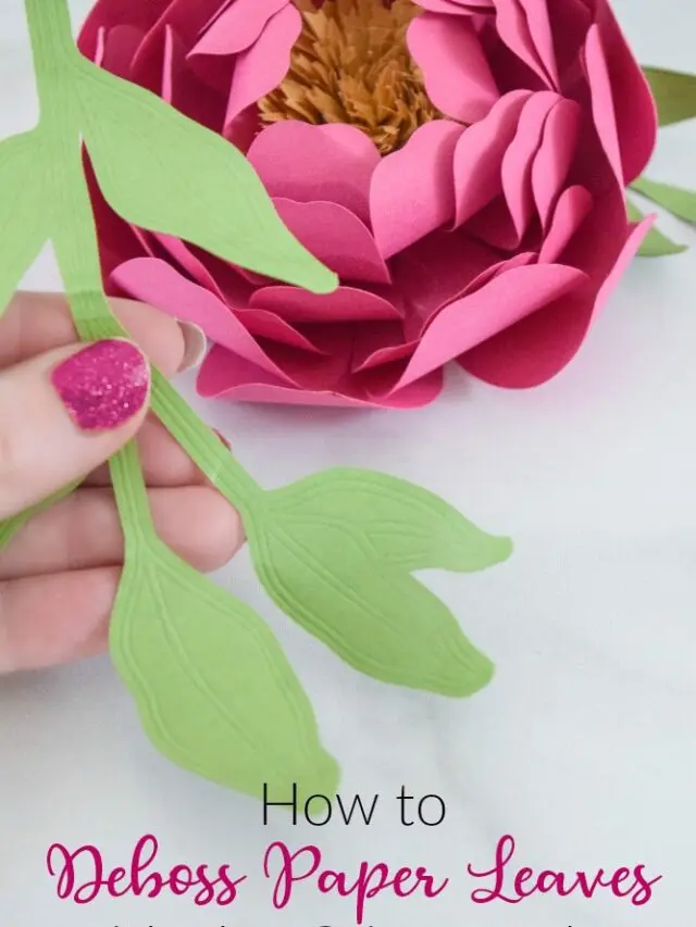 Add Texture to Your Paper Crafts with the Cricut Debossing Tool Story