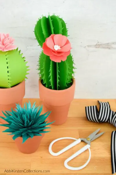 How to make fero, aloe vera, and prickly pear paper cacti.