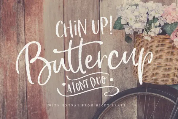 A close-up of a bike wheel with a basket of flowers against a weathered wooden wall. "Chin up! Buttercup a font duo" are written across the picture, a casual font used with Cricut machines. 