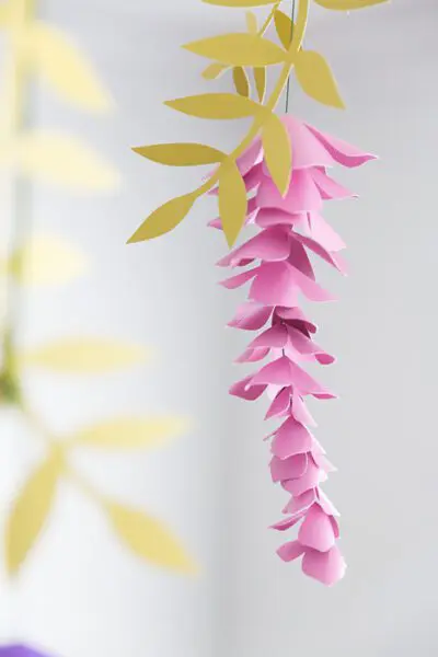 Purple hanging wisteria