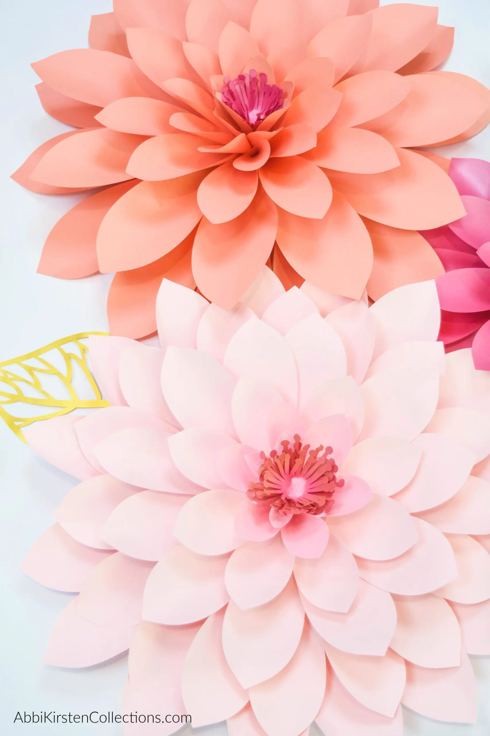 Paper Dahlia Tutorial: How to Make Giant Paper Dahlias