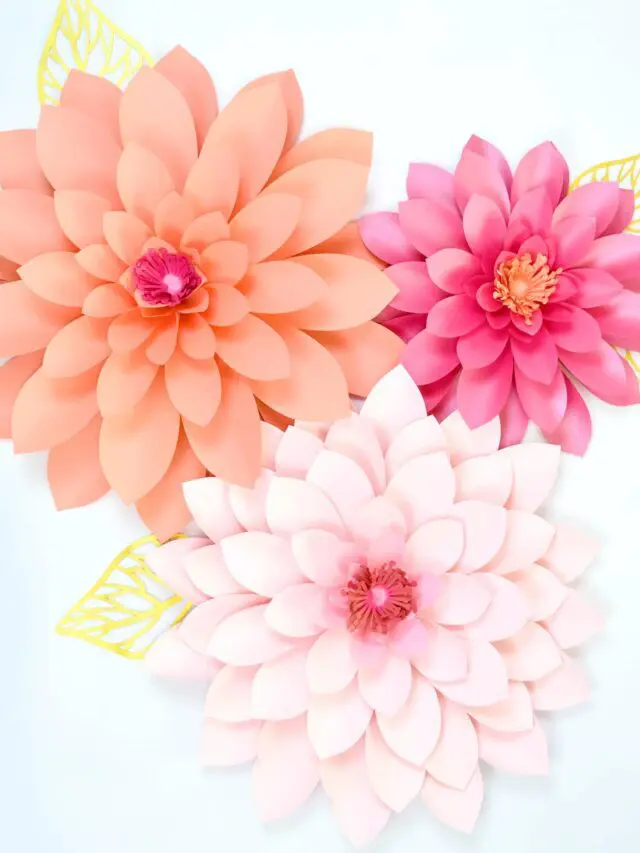 cropped-emma-dahlia.jpg