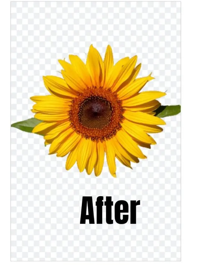 How To Remove Backgrounds In Cricut Design Space Story