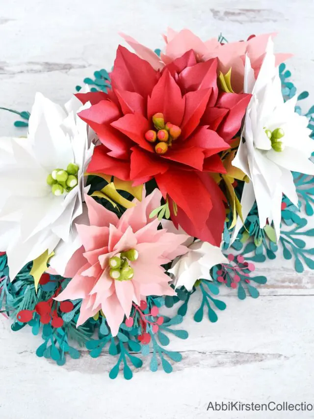poinsettia-5-1