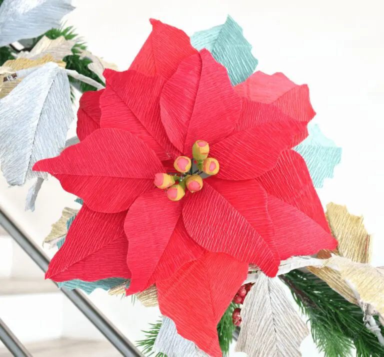 crepe-poinsettia