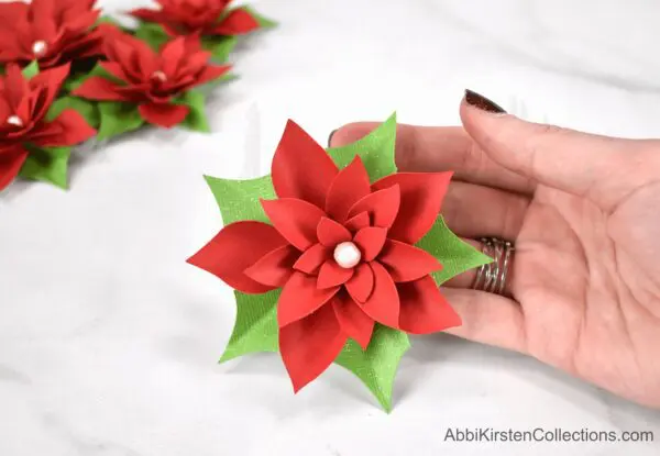 small poinsettia flowers.