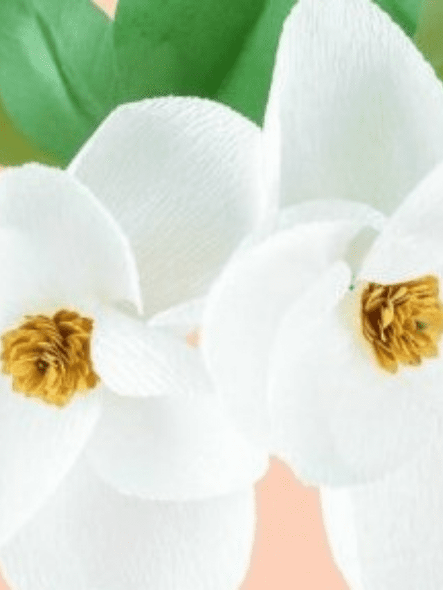 DIY Crepe Paper Magnolia Flowers Story