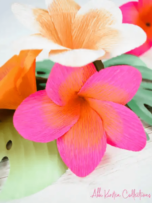 DIY Crepe Paper Plumeria Flowers Story