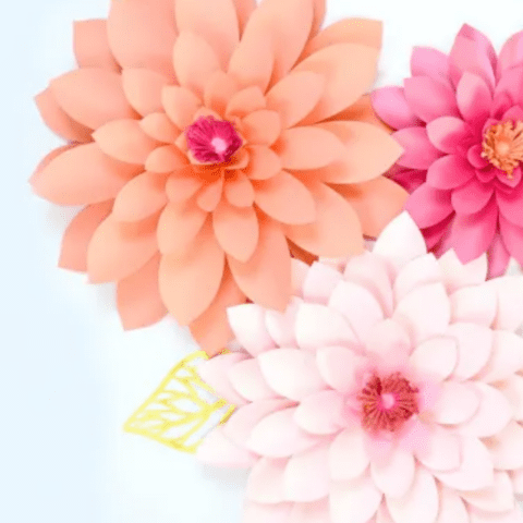 Three giant paper dahlia flowers in orange, light pink and dark pink.