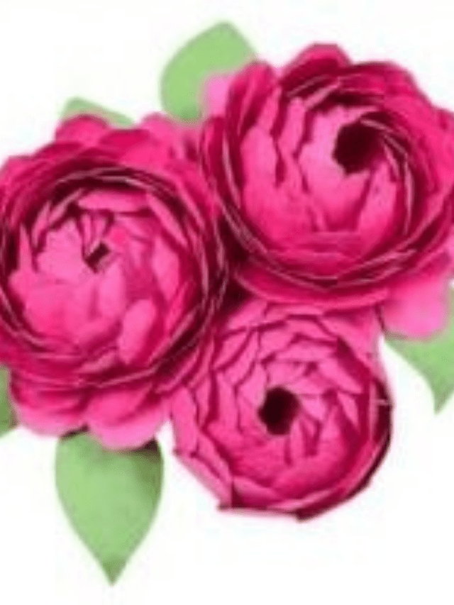 Peony Paper Flowers Story