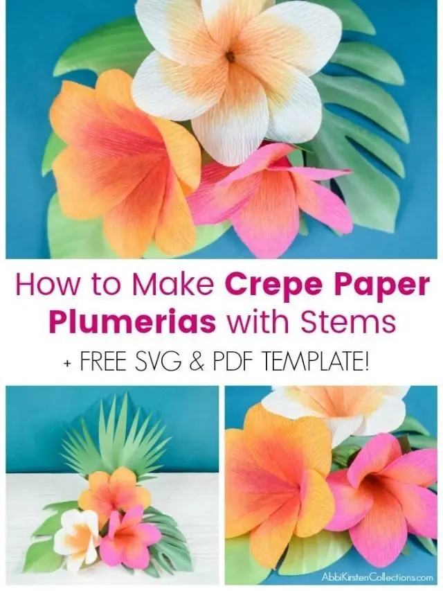 DIY Crepe Paper Plumeria Flowers Story