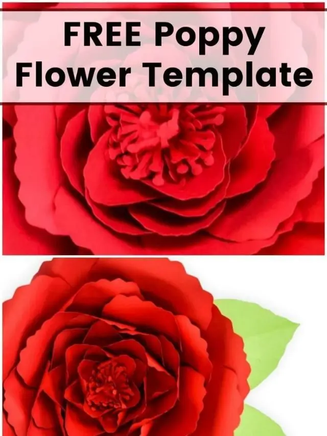 How to Make Giant Poppy Paper Flowers Story