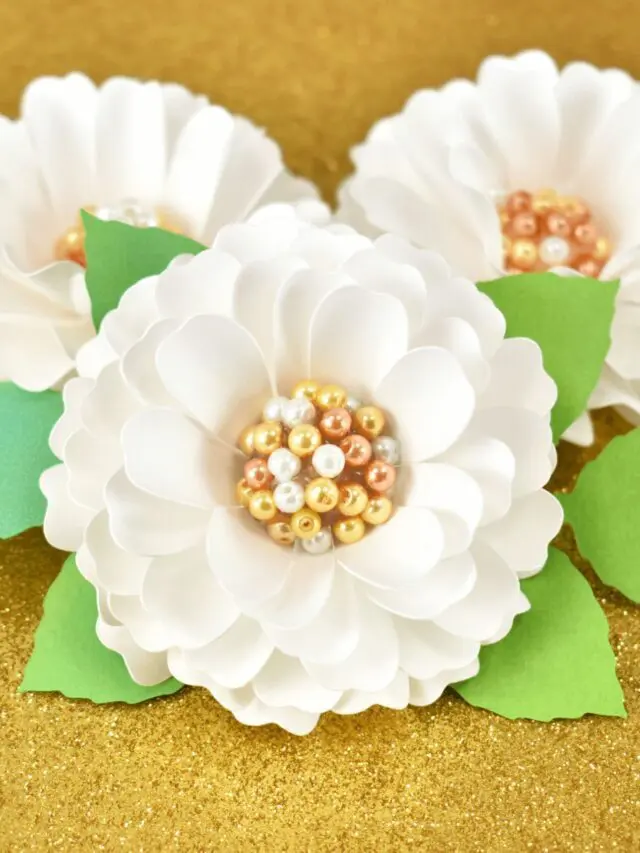 White Mini Dahlia With Pearl Center Story